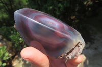 Polished On One Side Red Sashe River Agate Nodules x 6 From Zimbabwe