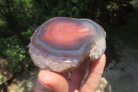 Polished On One Side Red Sashe River Agate Nodules x 6 From Zimbabwe