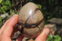 Polished Medium Septerye Sauvage "Dragons" Eggs - Sold Per Item - From Madagascar