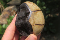 Polished Medium Septerye Sauvage "Dragons" Eggs - Sold Per Item - From Madagascar