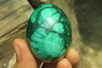 Polished Medium Solid Flower Banded Malachite Gemstone Eggs - Sold Per Item - From Congo