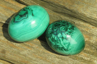 Polished Medium Solid Flower Banded Malachite Gemstone Eggs - Sold Per Item - From Congo