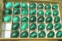 Polished Medium Solid Flower Banded Malachite Gemstone Eggs - Sold Per Item - From Congo