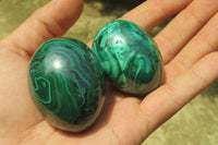 Polished Medium Solid Flower Banded Malachite Gemstone Eggs - Sold Per Item - From Congo