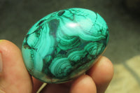 Polished Medium Solid Flower Banded Malachite Gemstone Eggs - Sold Per Item - From Congo