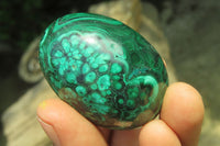 Polished Medium Solid Flower Banded Malachite Gemstone Eggs - Sold Per Item - From Congo