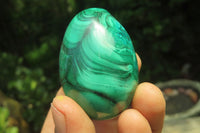 Polished Medium Solid Flower Banded Malachite Gemstone Eggs - Sold Per Item - From Congo