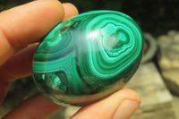 Polished Medium Solid Flower Banded Malachite Gemstone Eggs - Sold Per Item - From Congo