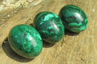 Polished Medium Solid Flower Banded Malachite Gemstone Eggs - Sold Per Item - From Congo