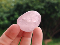 Polished Rose Quartz Palm Stones x 24 From Madagascar