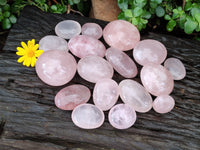 Polished Rose Quartz Palm Stones x 24 From Madagascar