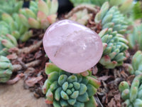 Polished Rose Quartz Palm Stones x 24 From Madagascar