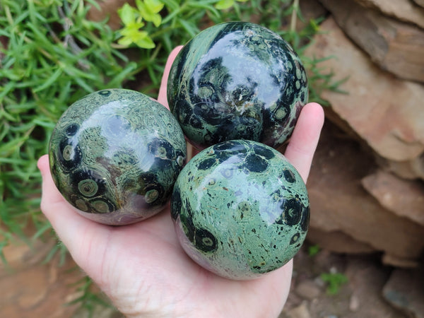 Polished Stromatolite Spheres x 3 From Madagascar