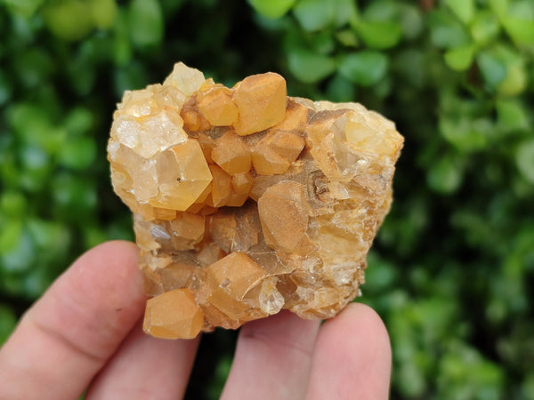 Natural Limonite Quartz Clusters x 12 From Zambia