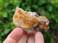 Natural Limonite Quartz Clusters x 12 From Zambia