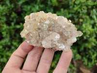 Natural Limonite Quartz Clusters x 12 From Zambia