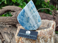 Polished Blue Spinel Spotted Quartz Leaf Sculptures x 2 From Madagascar