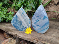 Polished Blue Spinel Spotted Quartz Leaf Sculptures x 2 From Madagascar