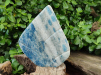 Polished Blue Spinel Spotted Quartz Leaf Sculptures x 2 From Madagascar