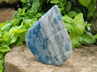 Polished Blue Spinel Spotted Quartz Leaf Sculptures x 2 From Madagascar