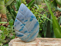 Polished Blue Spinel Spotted Quartz Leaf Sculptures x 2 From Madagascar