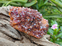 Natural Amethystos Amethyst Clusters x 7 From Kwaggafontein, South Africa