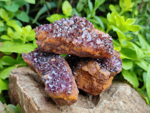 Natural Amethystos Amethyst Clusters x 7 From Kwaggafontein, South Africa