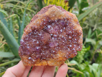 Natural Amethystos Amethyst Clusters x 7 From Kwaggafontein, South Africa