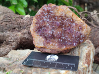 Natural Amethystos Amethyst Clusters x 7 From Kwaggafontein, South Africa