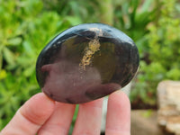 Polished Pharaoh Stone Palm Stones x 12 From Zimbabwe