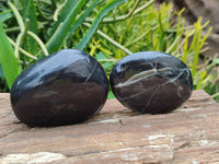 Polished Pharaoh Stone Palm Stones x 12 From Zimbabwe