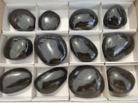 Polished Pharaoh Stone Palm Stones x 12 From Zimbabwe