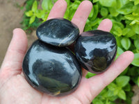 Polished Pharaoh Stone Palm Stones x 12 From Zimbabwe