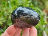 Polished Pharaoh Stone Palm Stones x 12 From Zimbabwe