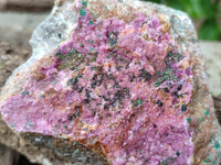 Natural Salrose Cobaltion Dolomite Specimens x 6 From Kakanda, Congo