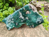 Polished On One Side Emerald Mtorolite x 1 From Mutorashanga, Zimbabwe