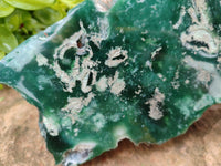 Polished On One Side Emerald Mtorolite x 1 From Mutorashanga, Zimbabwe