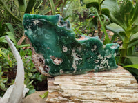 Polished On One Side Emerald Mtorolite x 1 From Mutorashanga, Zimbabwe