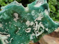 Polished On One Side Emerald Mtorolite x 1 From Mutorashanga, Zimbabwe