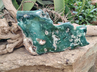 Polished On One Side Emerald Mtorolite x 1 From Mutorashanga, Zimbabwe