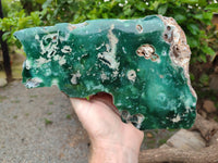 Polished On One Side Emerald Mtorolite x 1 From Mutorashanga, Zimbabwe