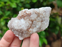 Natural Spirit Quartz Clusters x 12 From Boekenhouthoek, South Africa