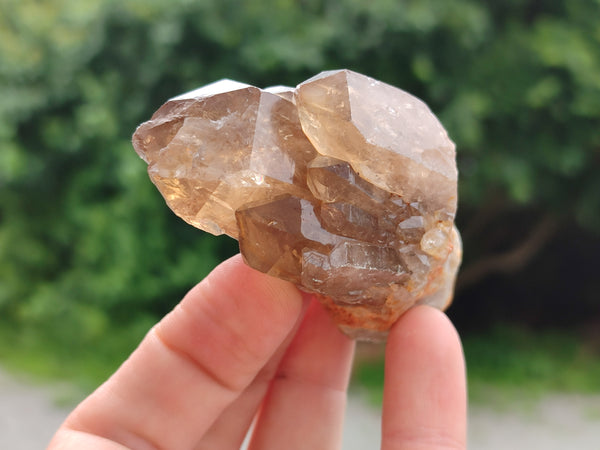 Natural Smokey Phantom Quartz Clusters x 18 From Luena, Congo