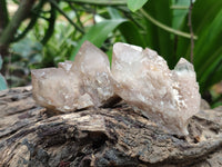 Natural Smokey Phantom Quartz Clusters x 18 From Luena, Congo