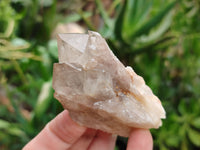 Natural Smokey Phantom Quartz Clusters x 18 From Luena, Congo