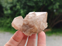 Natural Smokey Phantom Quartz Clusters x 18 From Luena, Congo