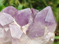 Natural Jacaranda Amethyst Quartz Clusters x 3 from Mumbwa, Zambia