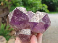 Natural Jacaranda Amethyst Quartz Clusters x 3 from Mumbwa, Zambia