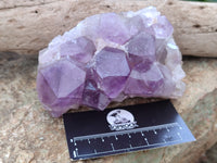 Natural Jacaranda Amethyst Quartz Clusters x 3 from Mumbwa, Zambia