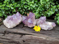 Natural Jacaranda Amethyst Quartz Clusters x 3 from Mumbwa, Zambia